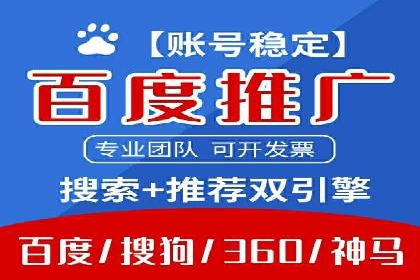 SEM运营策略案例分析